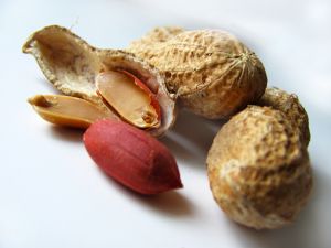 naturopathic treatment of seasonal allergy